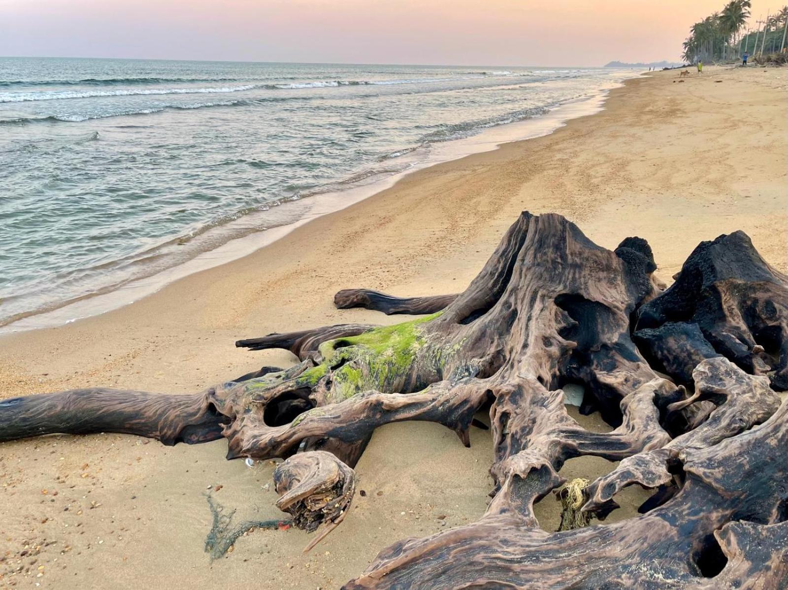 Homestate Bang Maprao Ban Hin Sam Kon